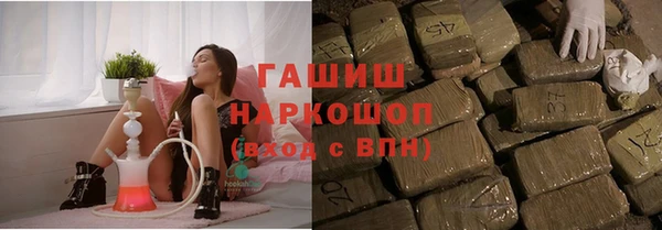 индика Краснослободск