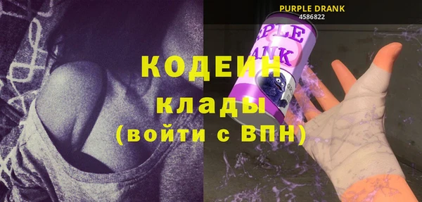 индика Краснослободск