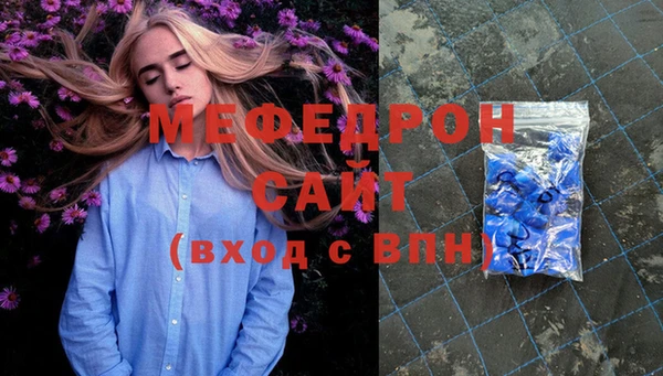 индика Краснослободск